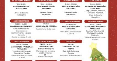 Programa Navidad El Boalo Cerceda Mataelpino 2025_page-0001