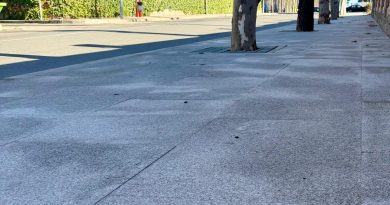 nuevo acerado primera fasae plan de embellecimiento