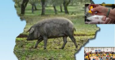 CARTEL MATANZA 2026_page-0001