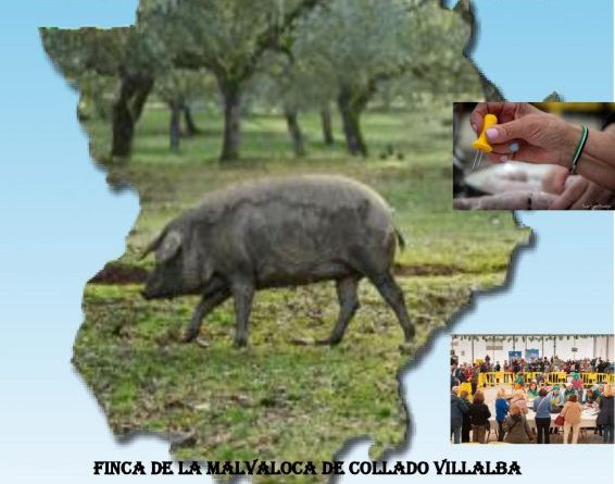 CARTEL MATANZA 2026_page-0001