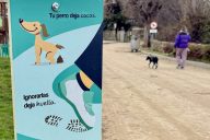 campaña perros web