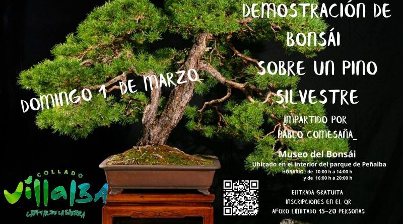 TALLER MUSEO BONSÁI 1 DE MARZO 2026