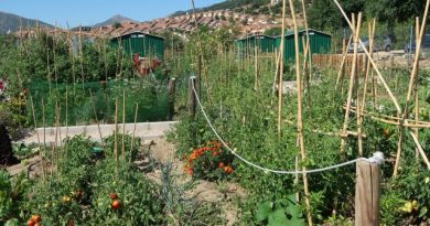 HUERTOS SOCIALES SAN LORENZO DE EL ESCORIAL