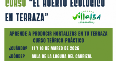 Cartel Curso EL Huerto Ecológico en terrazas (4)