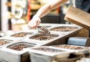 Filling paper bag with coffee beans from the metal trays for selling in the store
