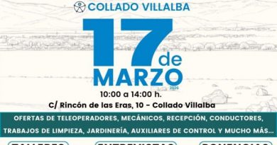 II FERIA DE EMPLEO POR LA DISCAPACIDAD (3)