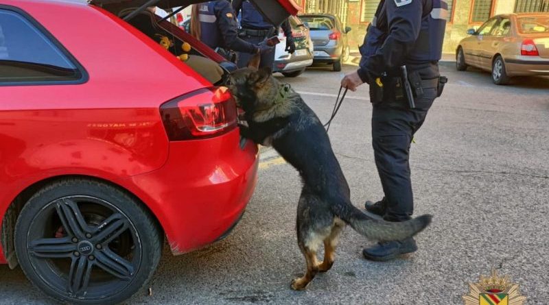 Unidad Canina Policía Local 2 (1)
