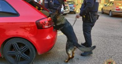 Unidad Canina Policía Local 2 (1)