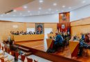 PLENO MARZO LAS ROZAS
