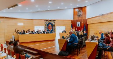 PLENO MARZO LAS ROZAS