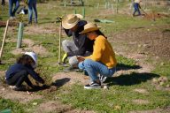 Gran_plantación_familiar_187