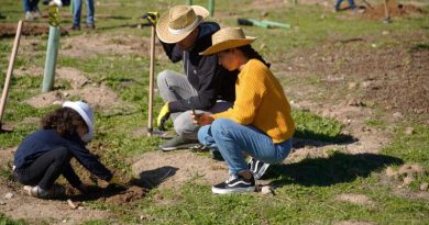 Gran_plantación_familiar_187