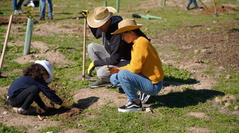 Gran_plantación_familiar_187