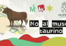 firmas contra museo taurino