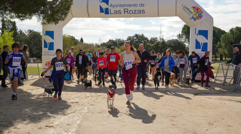Canicross_Las Rozas
