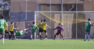 IMG_1753 AQUI EN LA SIERRA