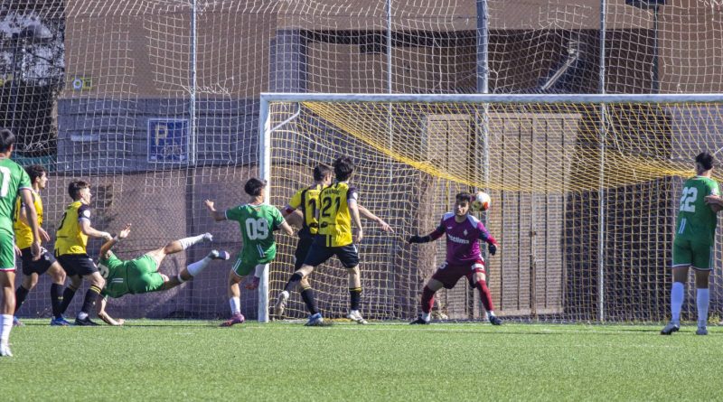 IMG_1753 AQUI EN LA SIERRA