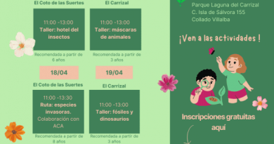 ACTIVIDADES ABRIL 2026 FIN DE SEMANA