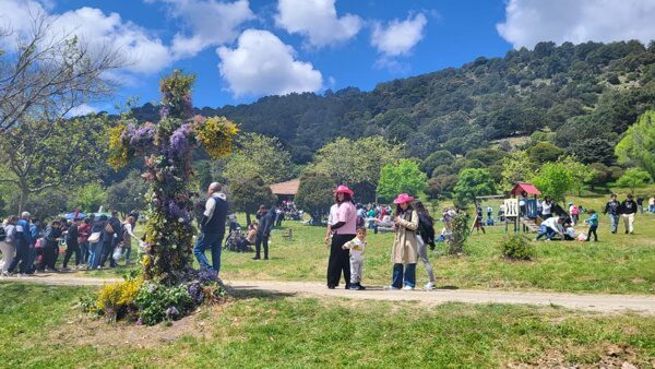 Moralzarzal-celebra-la-tradicional-Fiesta-de-la-Cruz-de-Mayo-2026-Raices-de-piedra-y-un-dia-en-familia.-Cruz