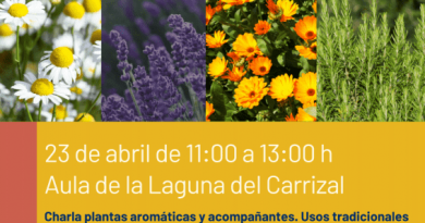 Cartel Actividad Plantas aromáticas
