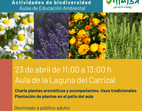 Cartel Actividad Plantas aromáticas