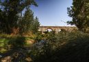 Puente_Retamar_Las Rozas