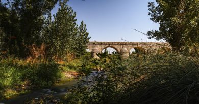 Puente_Retamar_Las Rozas
