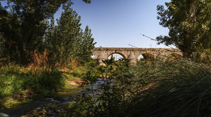 Puente_Retamar_Las Rozas