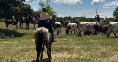 jornadas arte taurino (002)