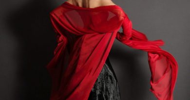 DÍA DE LA DANZA LAS ROZAS