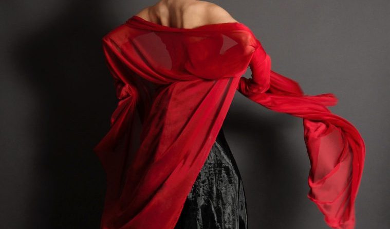 DÍA DE LA DANZA LAS ROZAS