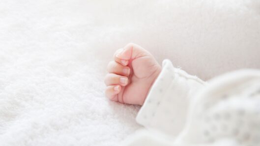 bebe-529x298