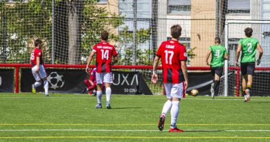 IMG_3424 AQUI EN LA SIERRA