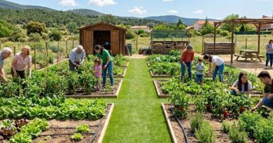 Img-post-huertos-urbanos-2026-698x500