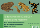descubriendo anfibios