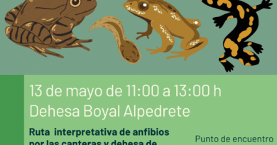 descubriendo anfibios