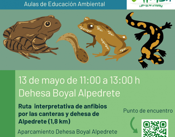 descubriendo anfibios