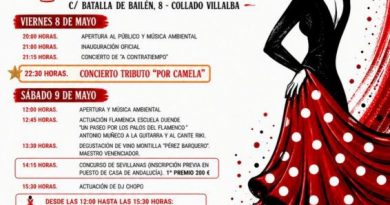 FERIA DE ANDALUCÍA 2026 (1)_page-0001