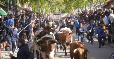 Fiestas_de_ Las_Matas_035