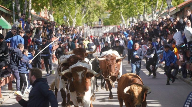 Fiestas_de_ Las_Matas_035