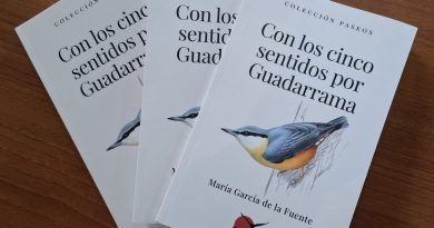 con los cinco sentidos