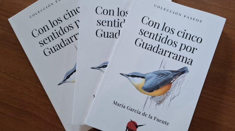 con los cinco sentidos