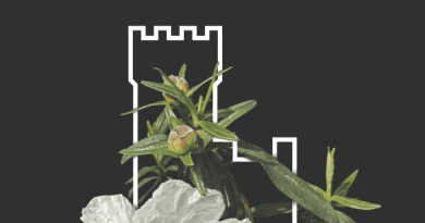 ii-feria-plantas-flores-torrelodones-2026-enviar