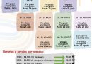 CARTEL CAMPAMENTOS 2026 (1)