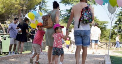 Día de la Familia Las Rozas 1