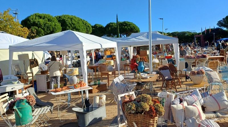 DESEMBALAJE LAS ROZAS