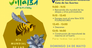 Día mundial abejas
