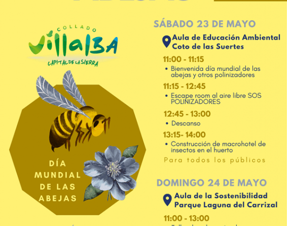 Día mundial abejas
