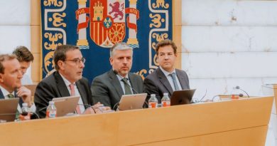 PLENO MAYO LAS ROZAS