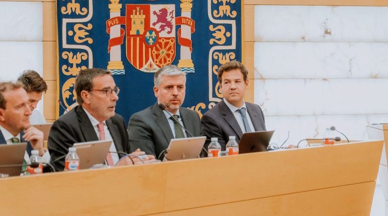 PLENO MAYO LAS ROZAS